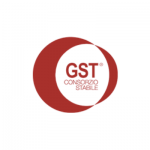 consorzio stabile gst