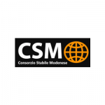 consorzio csm