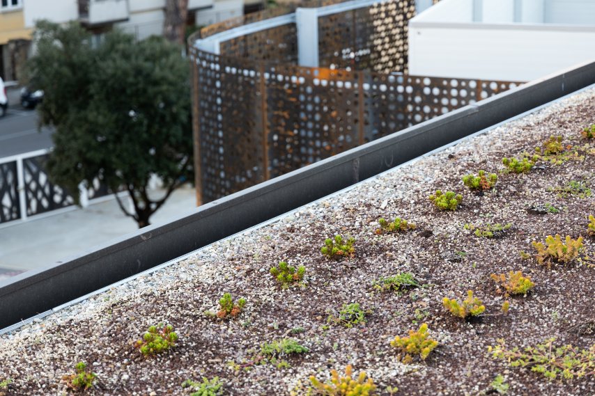 polo-scolastico-dino-compagni (3)