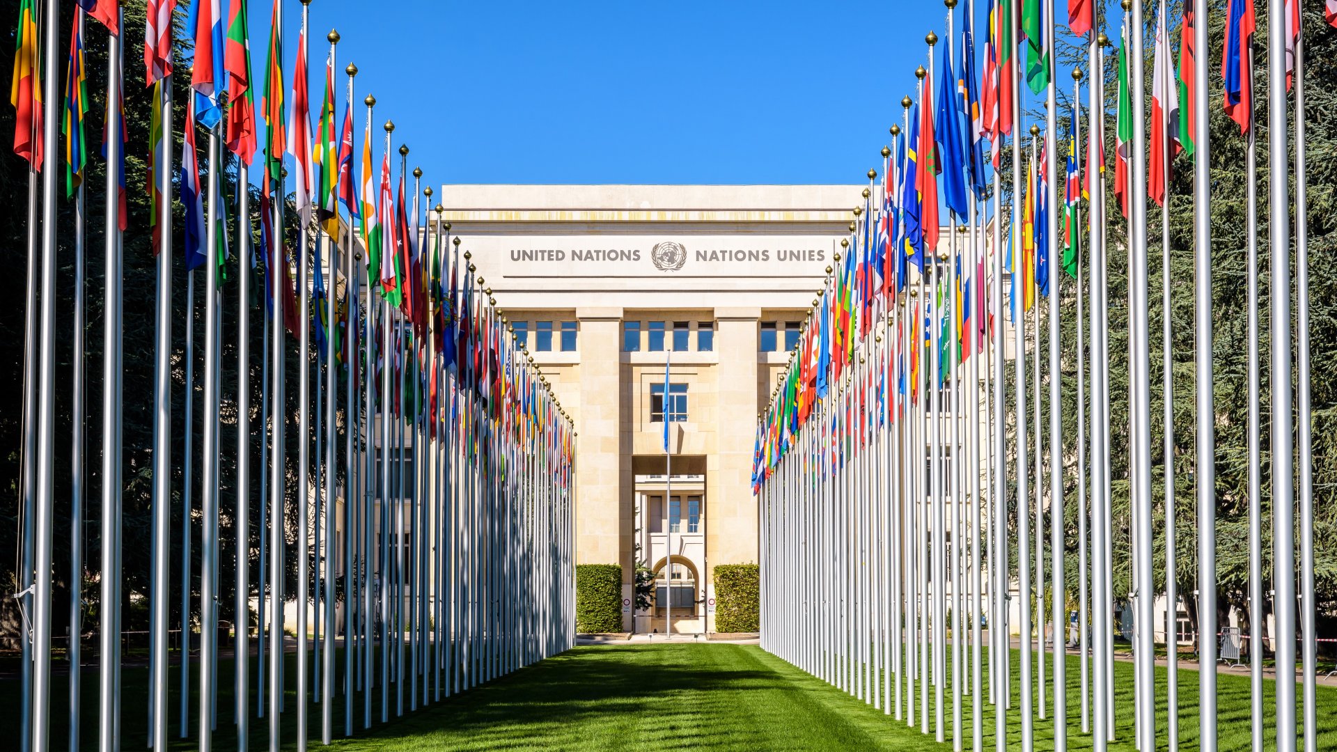 Ufficio delle Nazioni Unite