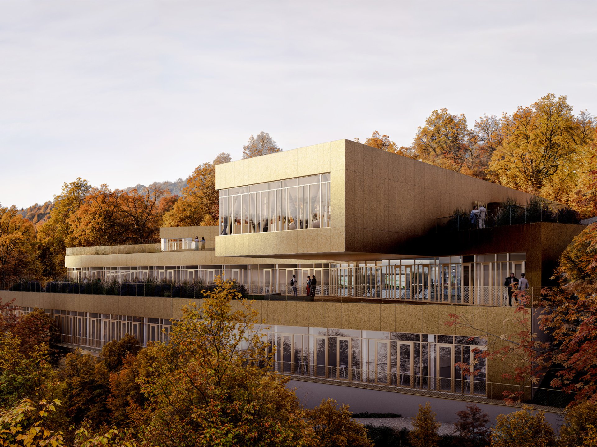 International School for Advanced Studies